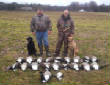 2011Waterfowl/1-27-12_Kota_N_Stormy.jpg