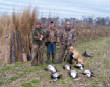 2011Waterfowl/102_4517.JPG