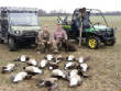 2012_2013HuntingPictures/383811_385180324907142_146331412_n.jpg