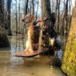 2012_2013HuntingPictures/IMG951920.jpg