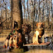 2012_2013HuntingPictures/IMG957688.jpg