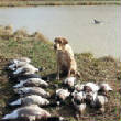 2012_2013HuntingPictures/kota.jpg