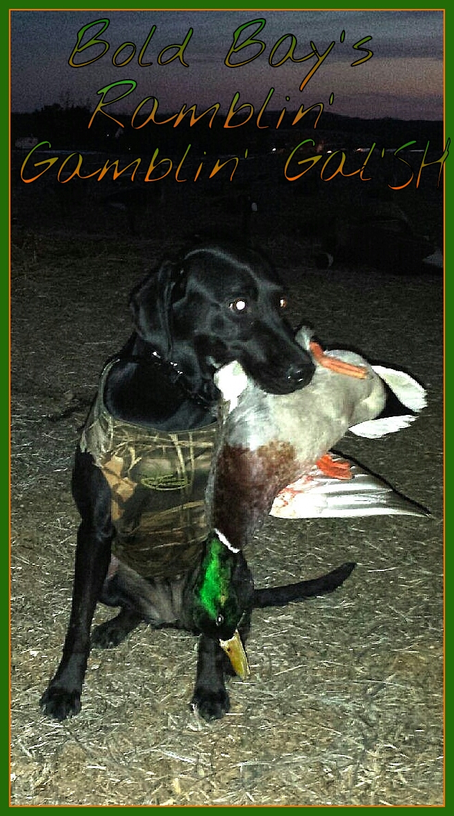 2014-2015_hunting/PicsArt_1421798632479.jpg