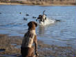 HuntingPictures/Chessie-waiting.JPG