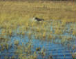 TrainingDayGallery/DSC01080.JPG