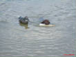 TrainingDayGallery/Krush11.jpg