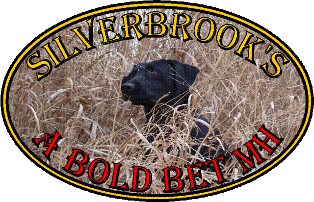 Silverbrook's A Bold Bet MH