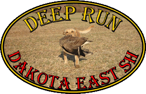 logos/Kota-LOGO-2in.gif