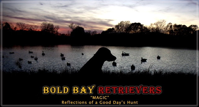 webassets/Magic-reflections-web-lg.jpg